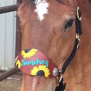 Custom Name and Sunflower Bronc Noseband with Nylon Halter