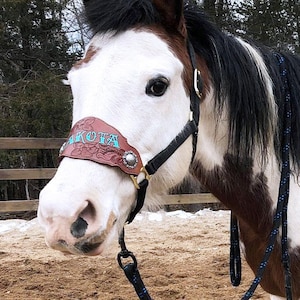 Floral Tooled Leather Bronc Noseband - Custom Nylon Halter
