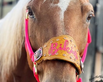 Custom Nylon Bronc Halter - Stronger Design Than Tab Style Leather Noseband
