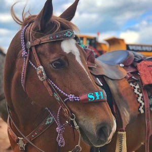Skinny Bronc Poly Rope Halter - Etsy