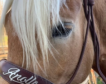 Skinny Bronc Poly Rope Halter