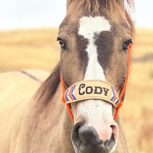 Chevron Bronc Noseband: Hand Tooled Leather Halter with Yacht Rope