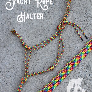Rainbow Skinny Bronc Rope Halter and Lead Rainbow Stitching & Lettering ...
