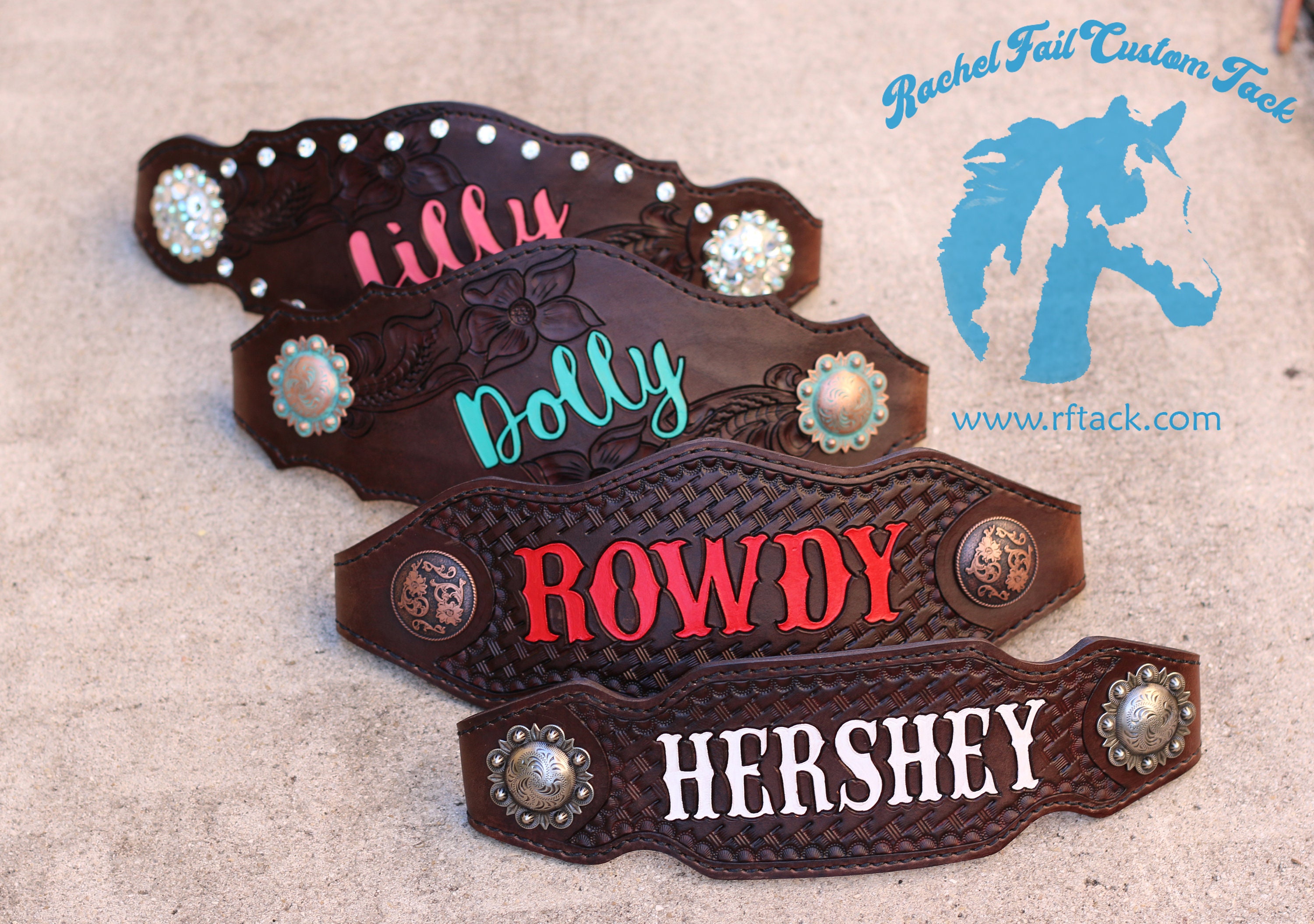 Custom Bronc Noseband with Premium Nylon Halter