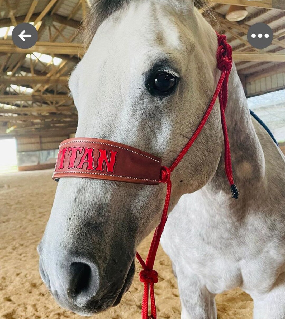 Skinny Bronc Yacht Rope Horse Halter - Etsy