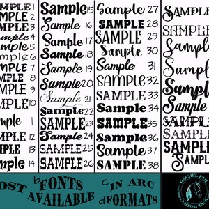 Pu&ograve; includere: Uno sfondo bianco con testo nero che mostra 48 diversi esempi di font. Il testo recita "MOST FONTS AVAILABLE" e "CIN ARC FORMATS".