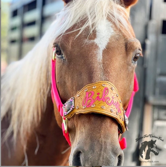 Custom Nylon Bronc Halter - Stronger Design Than Tab Style Leather Noseband