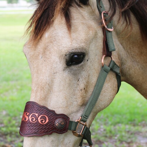 Licol Bronc en nylon personnalisé - Conception plus solide que le style à languette