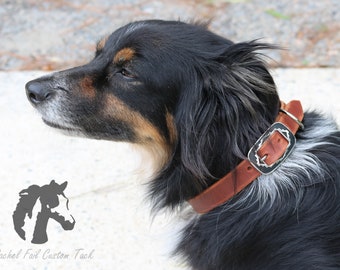 Premium Leather Dog Collar - Custom Made to Order Sizes - Soft Oiled Leather with Stainless Buckle