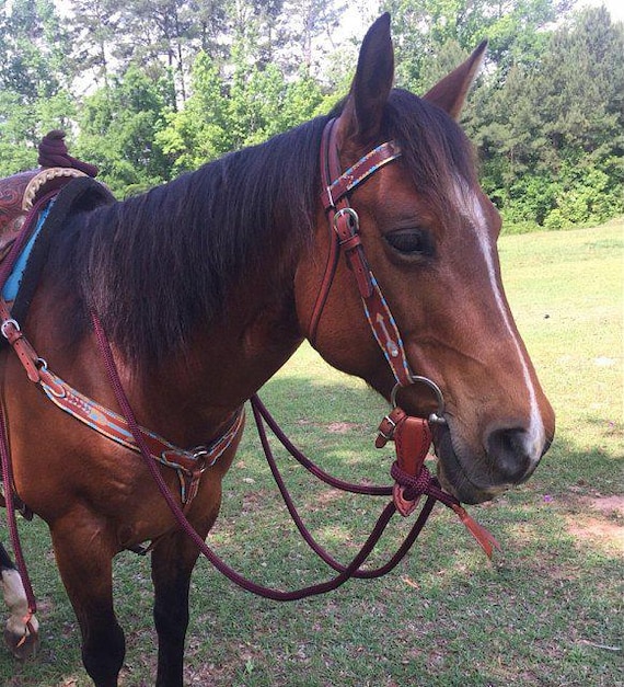 Coiffe Western En Cuir Avec Rênes Mecate – Filet, Glands Et Slobber Straps