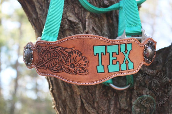 Custom Tooled Leather Horse Halter: Floral Bronc Noseband
