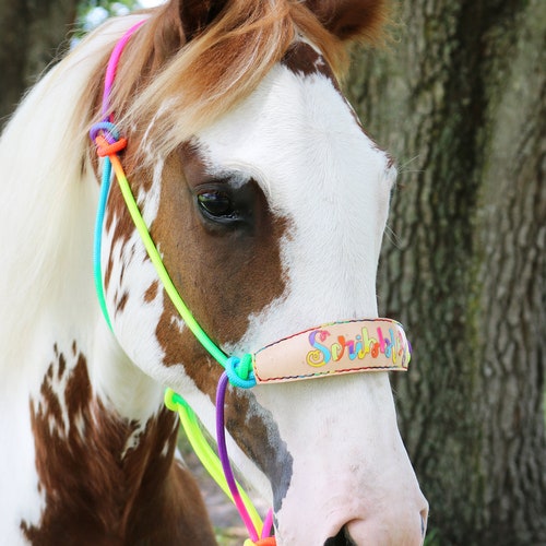 Rainbow Skinny Bronc Rope Halter and Lead Rainbow Stitching - Etsy