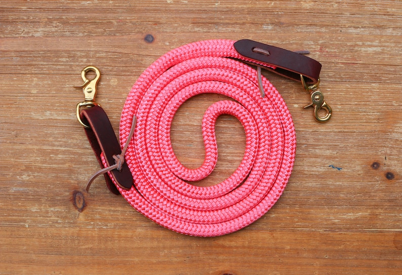 May include: A pink rope halter with brown leather ends and gold metal snap hooks.