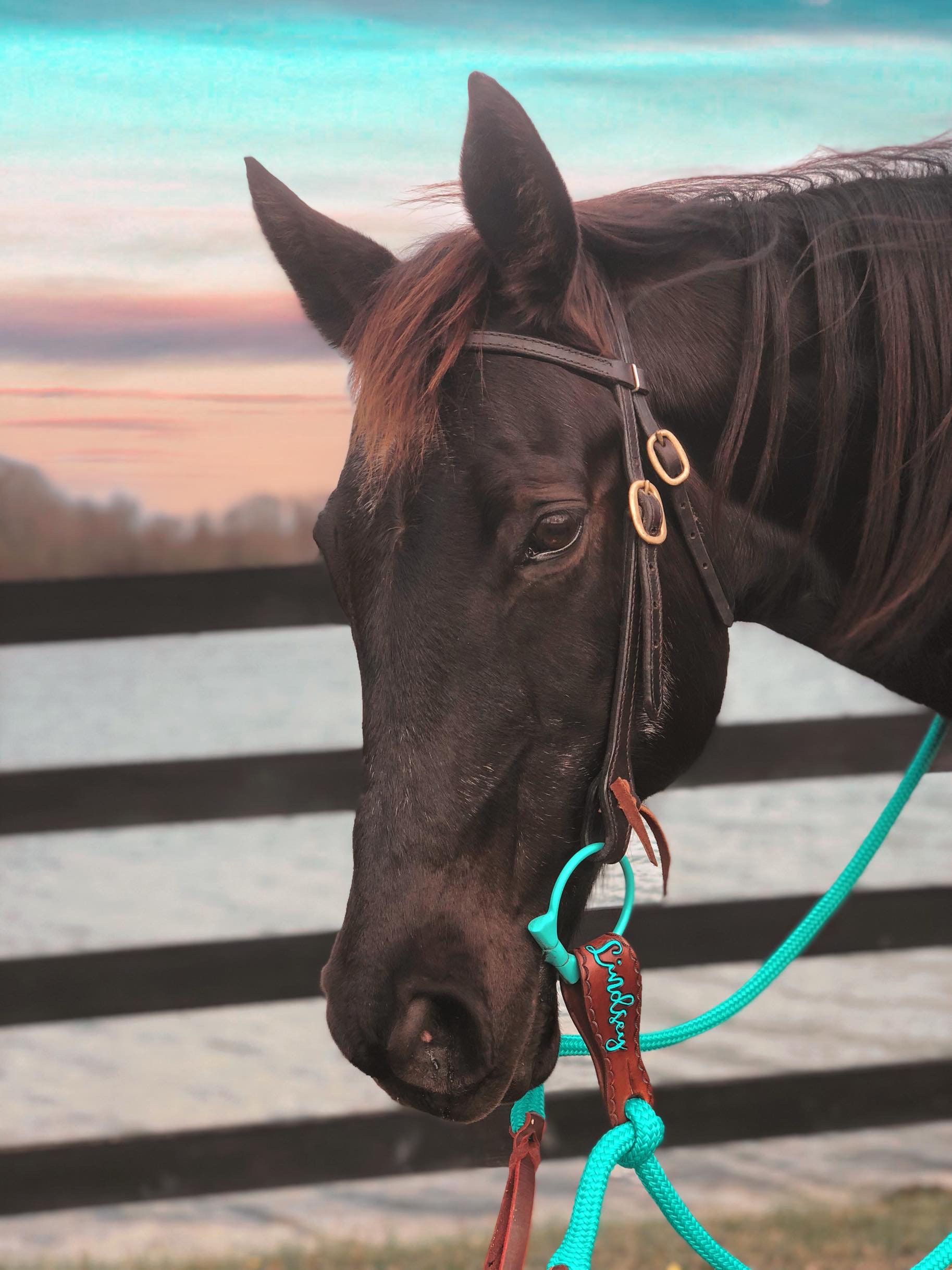 Mecate Reins & Slobber Straps - Custom Made to Order with Personalized Name Options or Brands