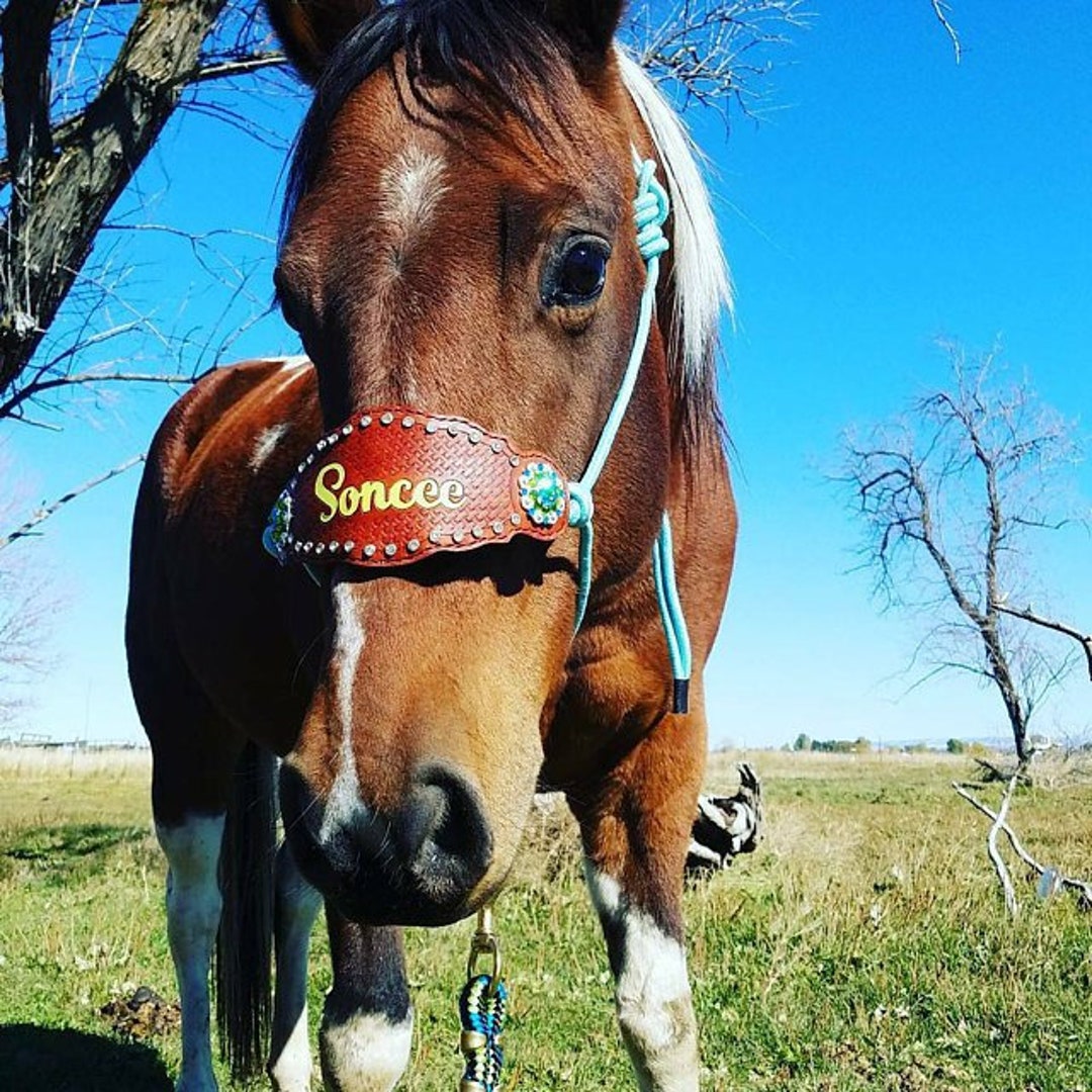 Custom Made Louis Vuitton LV Print Bronc Nose Halter