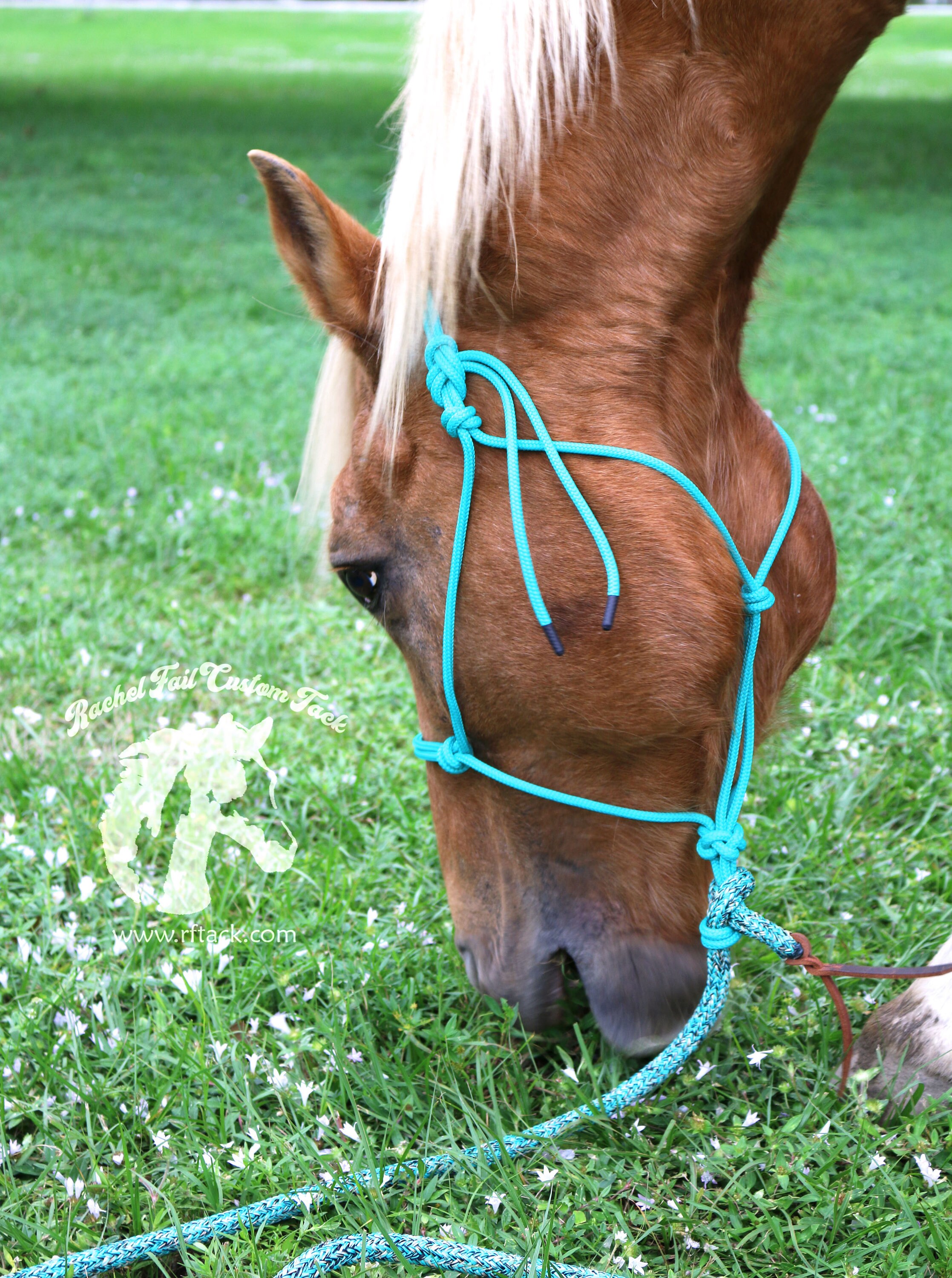 Yacht Rope Halter With Attached Yacht Lead Rope Made to Etsy