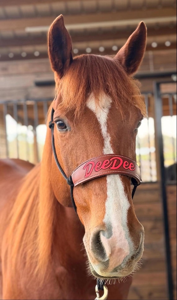 Skinny Bronc Yacht Rope Horse Halter