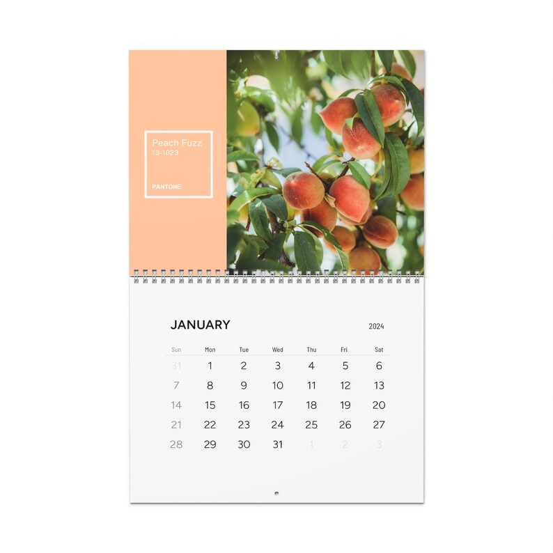Pantone Calendar 2024 Peach Fuzz Pantone Color of the Year Etsy