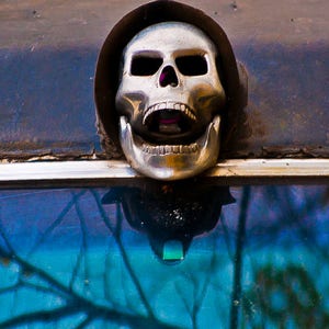 Skull Photo Print 11X22