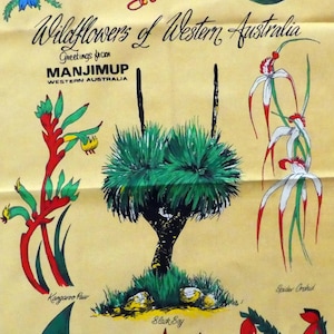 Vintage Wildflowers of Western Australia tea towel, souvenir from Manjimup