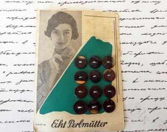 Card of 12 vintage brown mother-of-pearl buttons, 10 mm buttons