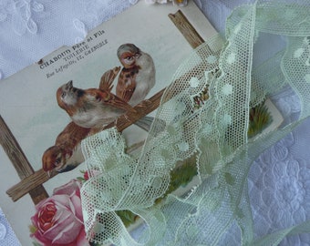 Vintage Teegrüne englische Baumwollspitze, 1,5 cm breit