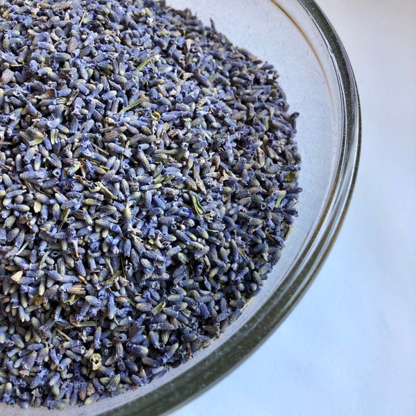Culinary Lavender Etsy