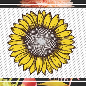 Sunflower Design SVG Cut File Iron on Transfer Sunflower clip art for DIY projects Cricut Sunflower Drawing Laser Cutting and Engraving file