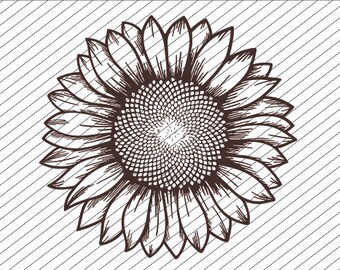 Download Free Sunflower Mandala Etsy SVG Cut Files