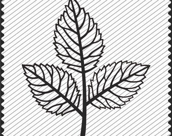 Download Leaf Template Design Clipart Cricut Paper Flower Leaves ...
