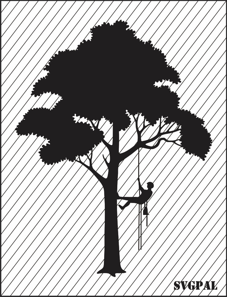 Tree Climber Silhouette