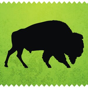May include: A black silhouette of a bison on a textured green background. The bison is depicted in profile, facing left, with its head lowered. The image has a decorative, scalloped border.