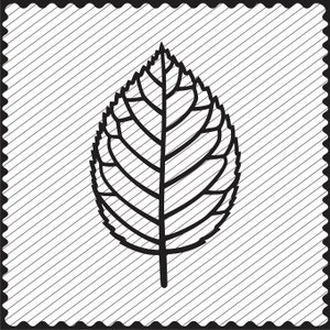 SVG Rose Leaf Template Design Clipart Rose Leaf Cricut Leaf Template Cameo Rose Leaf Cutting SVG Laser Cutting Engraving Paper flower svg