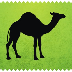 Camel Silhouette SVG Clipart Instant Download, Camel drawing for DIY Projects