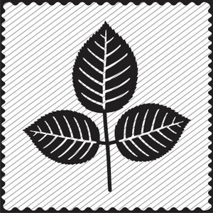 SVG Rose Leaves Clipart Rose Leaves Template Design Cricut Rose Leaves Cutting SVG Laser Cutting and Engraving Paper flower svg Cameo file