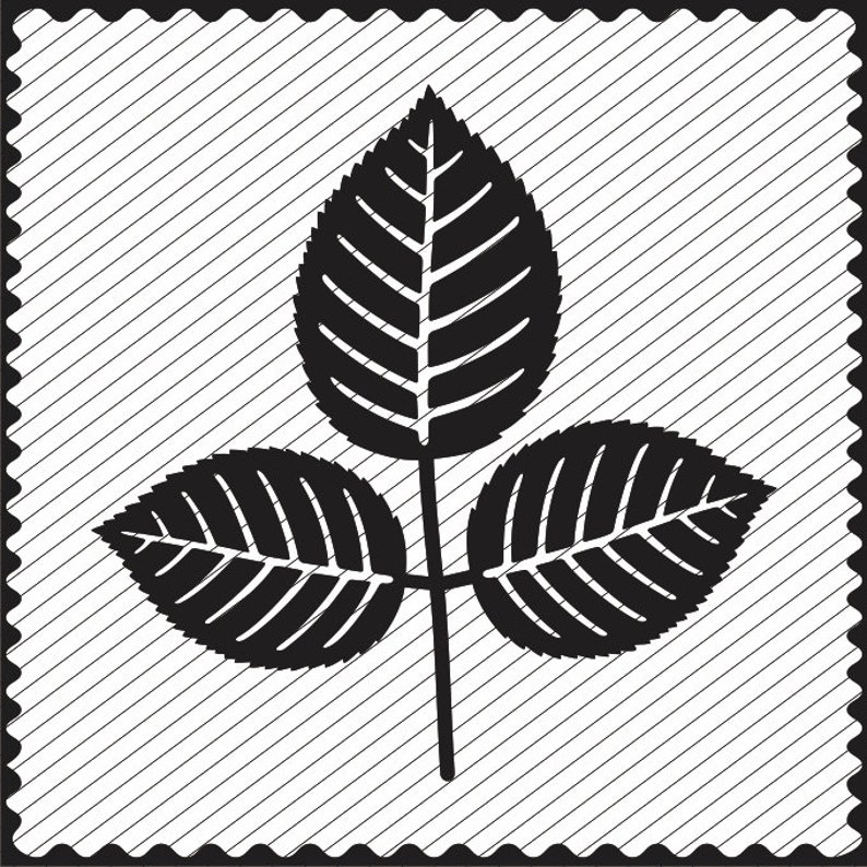 SVG Rose Leaves Clipart Rose Leaves Template Design Cricut Etsy