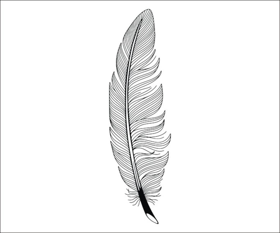Feather High Quality Printable Clipart Iron on Transfer Vinyl Cutting ...