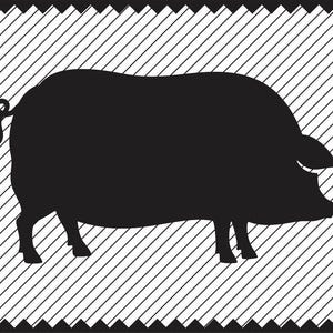 Hog sagoma SVG Clipart ferro sul file Transfer SVG per il maiale Cricut maiale Clipart vinile taglio maiale Decor Laser incisione