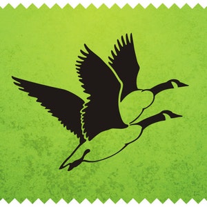 Flying Canadian Goose SVG Cricut file Canadian Goose Cameo Cutting Laser Engraving file, Gaggle svg