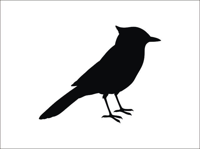 Blue Jay SVG Printable Clipart Blue Jay png Iron on Transfer | Etsy