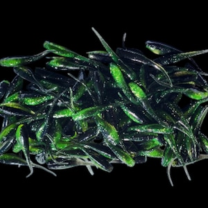 May include: A pile of small, soft plastic fishing lures. The lures are a mix of dark green and clear with a shimmering, glittery effect. They have a slender, elongated body and a small, forked tail. The background is solid black.