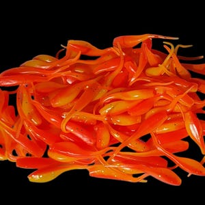 Shad Fry, Minnow Fry 2" length Lake Sunrise (light/dark orange w/silver glitter)
