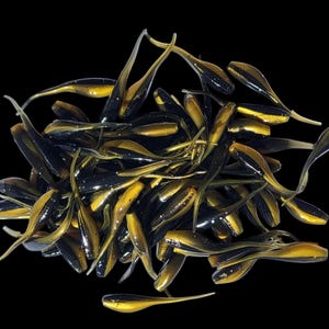 May include: A pile of small, soft plastic fishing lures. The lures are a combination of black and gold, with a slender, curved shape. The lures are designed to mimic small baitfish.