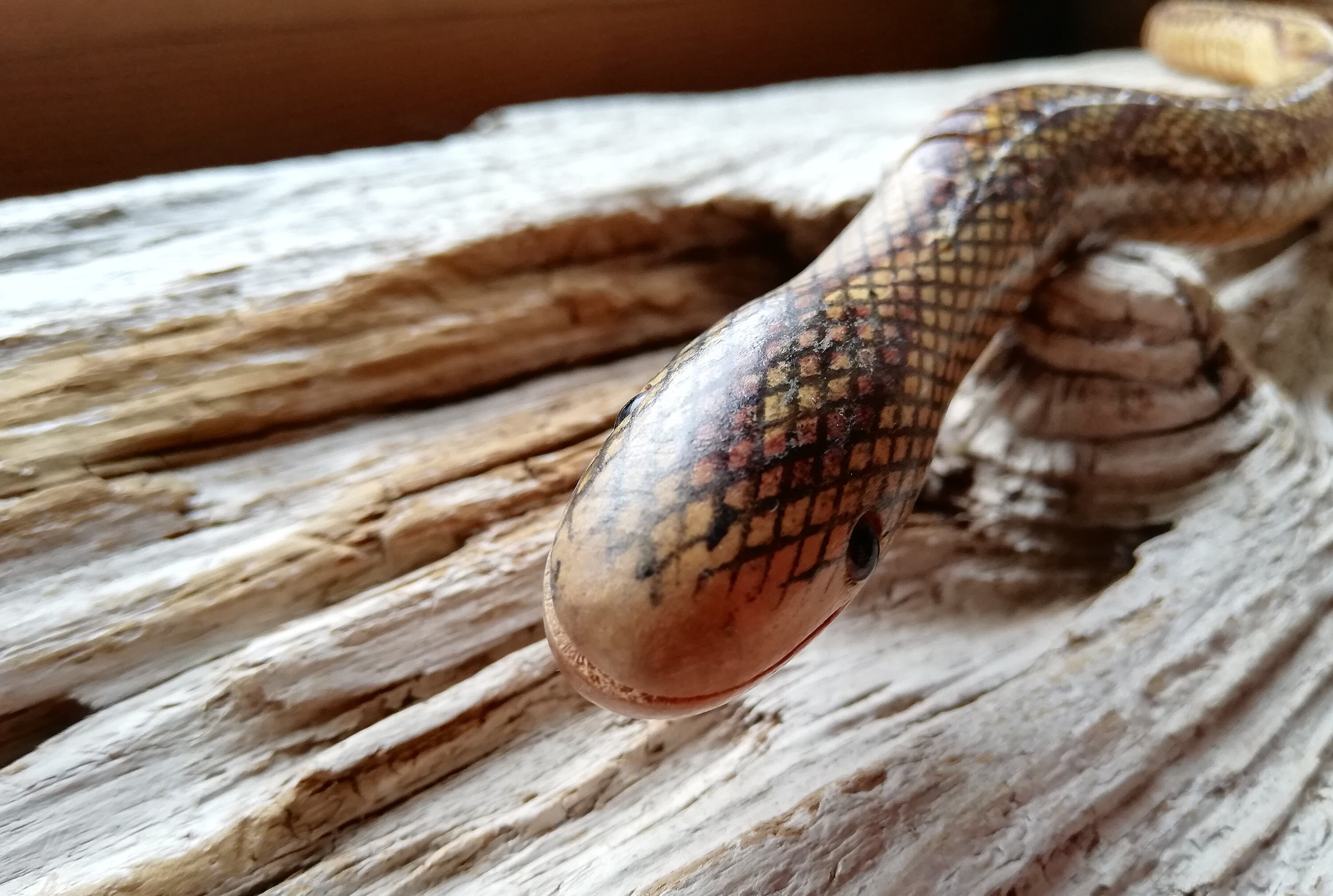 Vintage wooden snake toy Wooden snake Snake toy Reptile Etsy