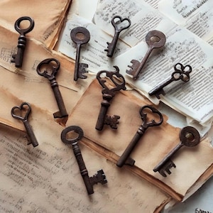 May include: An assortment of antique, rusty metal keys with various decorative designs, including heart and flower shapes, are arranged on aged paper with faded text. The keys vary in size and style, creating a vintage aesthetic.