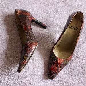 Puede incluir: Un par de zapatos de tac&oacute;n de punta de serpiente marr&oacute;n y negro. El zapato izquierdo tiene el nombre de la marca "CHARLES JOURDAN PARIS" impreso en la plantilla.