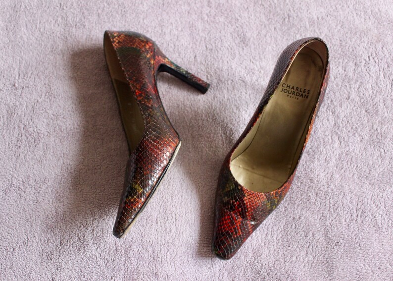 Puede incluir: Un par de zapatos de tac&oacute;n de punta de serpiente marr&oacute;n y negro. El zapato izquierdo tiene el nombre de la marca "CHARLES JOURDAN PARIS" impreso en la plantilla.