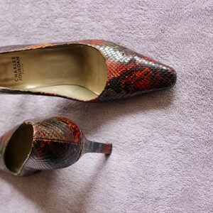Puede incluir: Un par de zapatos de tac&oacute;n de piel de serpiente marr&oacute;n y negro. Los zapatos tienen una punta puntiaguda y un tac&oacute;n alto. El nombre de la marca "CHARLES JOURDAN PARIS" est&aacute; impreso en la plantilla de un zapato.