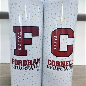 College custom logo 20oz stainless steel skinny tumbler with straw | water bottle/travel mug | ANY COLLEGE Michigan Cornell | not vinyl