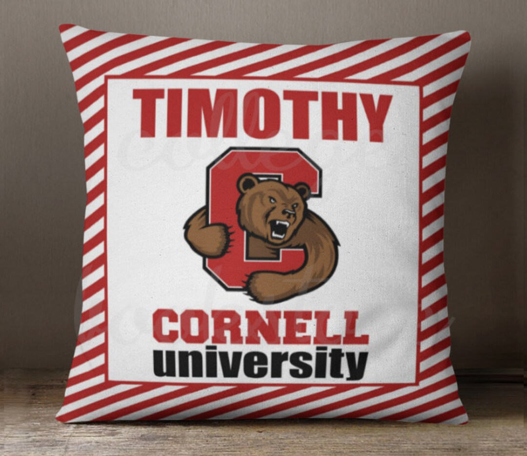 Custom COLLEGE Logo Decorative Throw Pillow With Insert Dorm Room Bed Party College & High